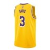 Los Angeles Lakers Nike Icon Swingman Jersey - Gold - Anthony Davis - Youth