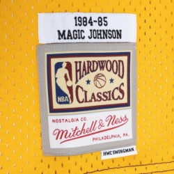 Magic Johnson Purple/Gold Los Angeles Lakers Hardwood Classic 1984/85 Split Fan Edition Jersey