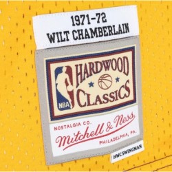 Men's Purple/Gold Los Angeles Lakers Hardwood Classics 1971/72 Split Swingman Jersey